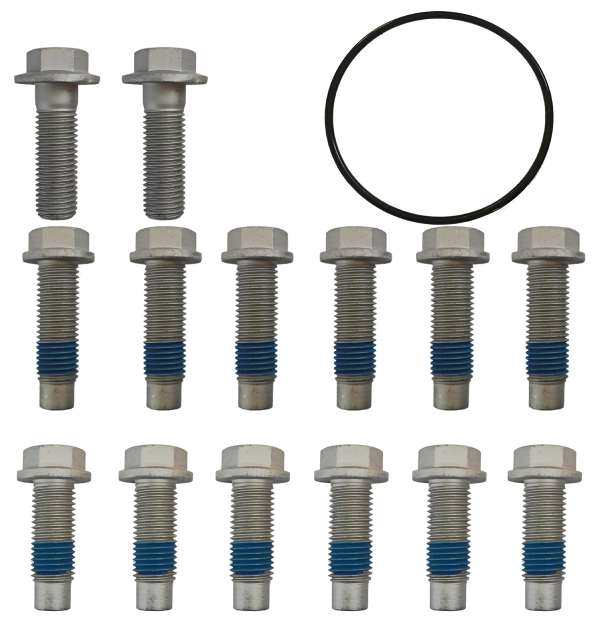 Lineup of Wagner braking bolts