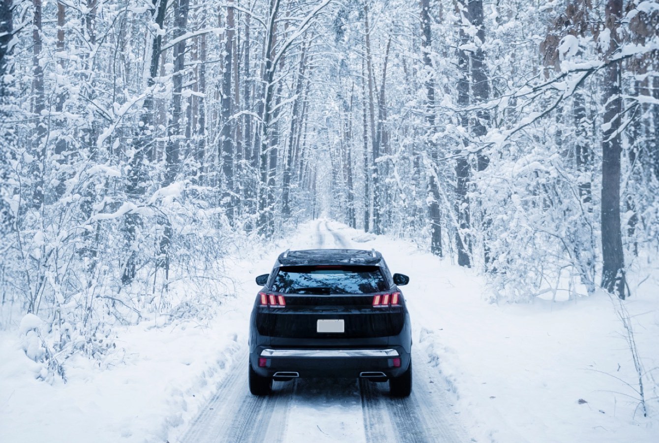 Black Suv On Snowy Tree Lined Road Black Suv On Snowy Tree Lined Road