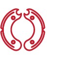 05_Icons